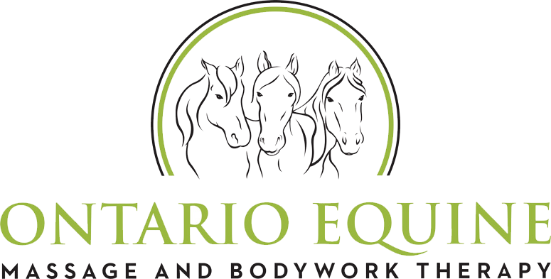 Ontario Equine - Massage and Bodywork Therapy